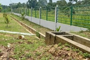 Agriculture freehold land 5min to Lekas highway at Mantin for sale