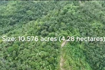 Agriculture freehold land at Jelebu for sale