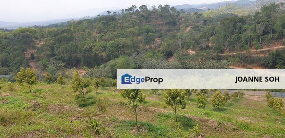 Freehold land at Kuala lumpur,Seputeh agriculture & residential land for sale, Kuala Lumpur, Seputeh