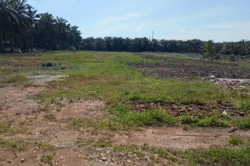 Kawasan Perindustrian Banting