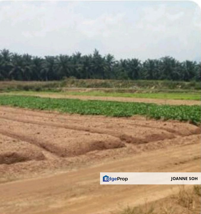 Serendah, selangor angriculture land freehold 146acres or sale, Selangor, Rawang