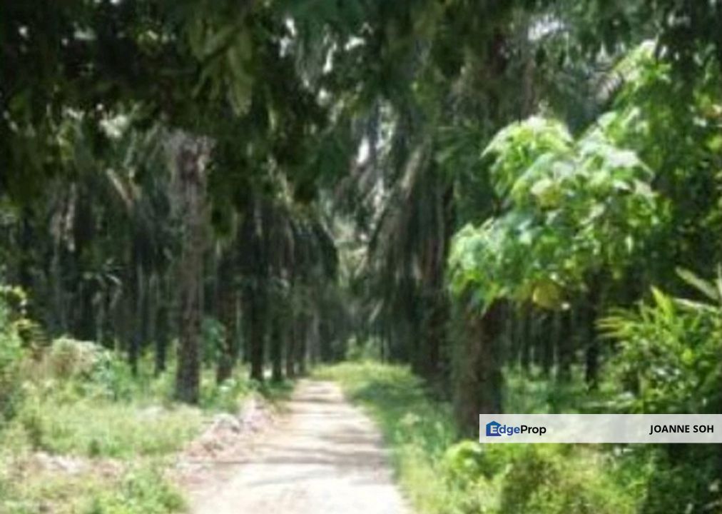 Serendah, selangor agriculture land for sale, Selangor, Rawang