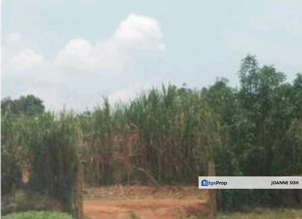 Serendah, selangor agriculture land for sale, Selangor, Rawang