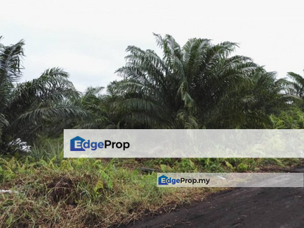 Agricultural land, Johan Setia, Klang for SALE, Selangor, Klang