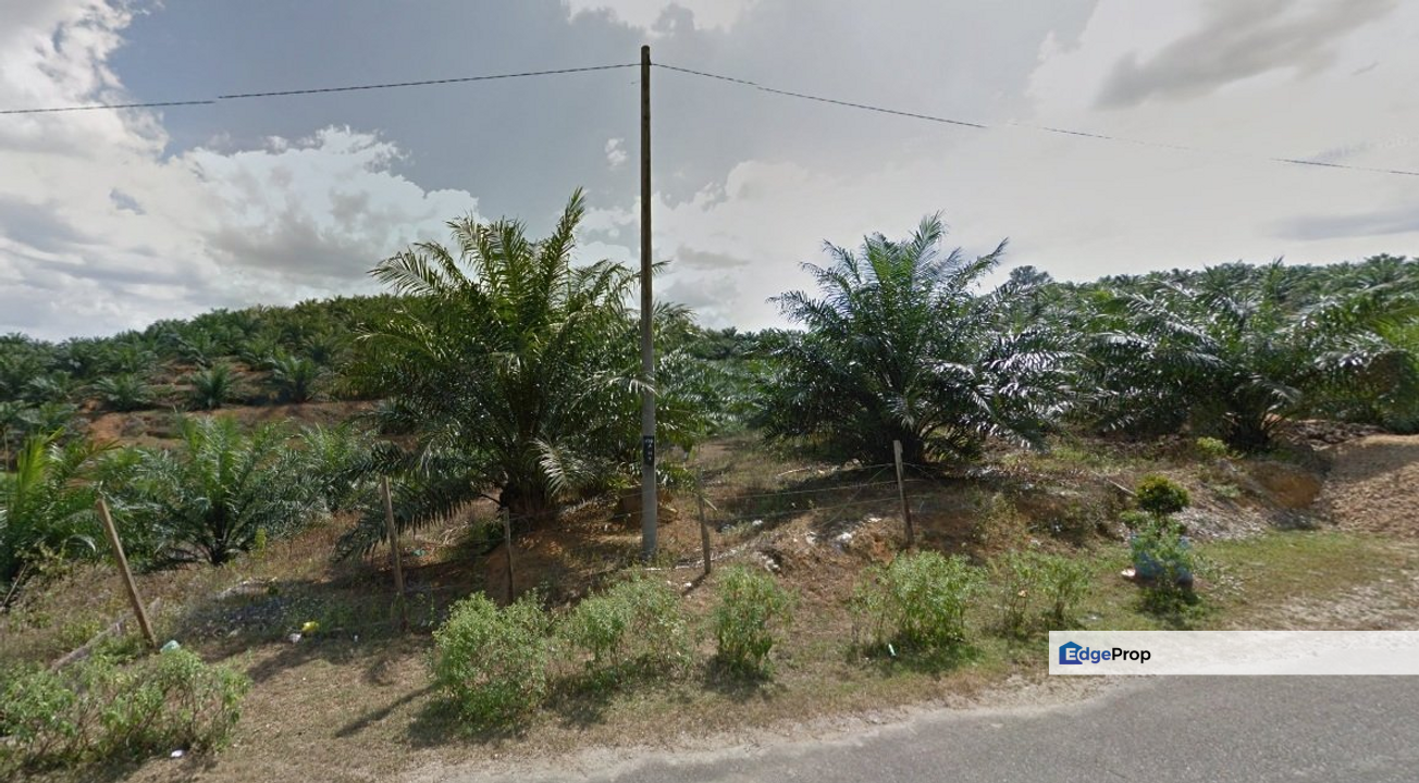 Agricultural Land, Hulu Berang, Hulu Terengganu, Terengganu, Hulu Terengganu