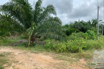 Kampung Sri Cheeding, Banting, Jenjarom 