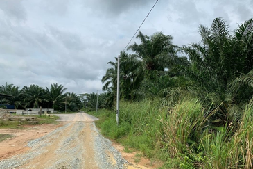 Kampung Sri Cheeding, Banting, Jenjarom 