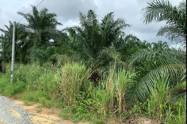 Kampung Sri Cheeding, Banting, Jenjarom 