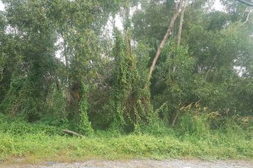 Industrial Land, West Port, Pulau Indah 