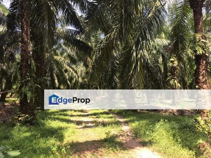 2.88 ac Industrial Zoning Land, Telok Mengkuang, Selangor, Telok Panglima Garang