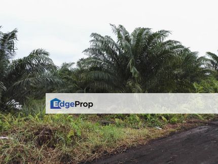 Agricultural land, Johan Setia, Klang for SALE, Selangor, Klang