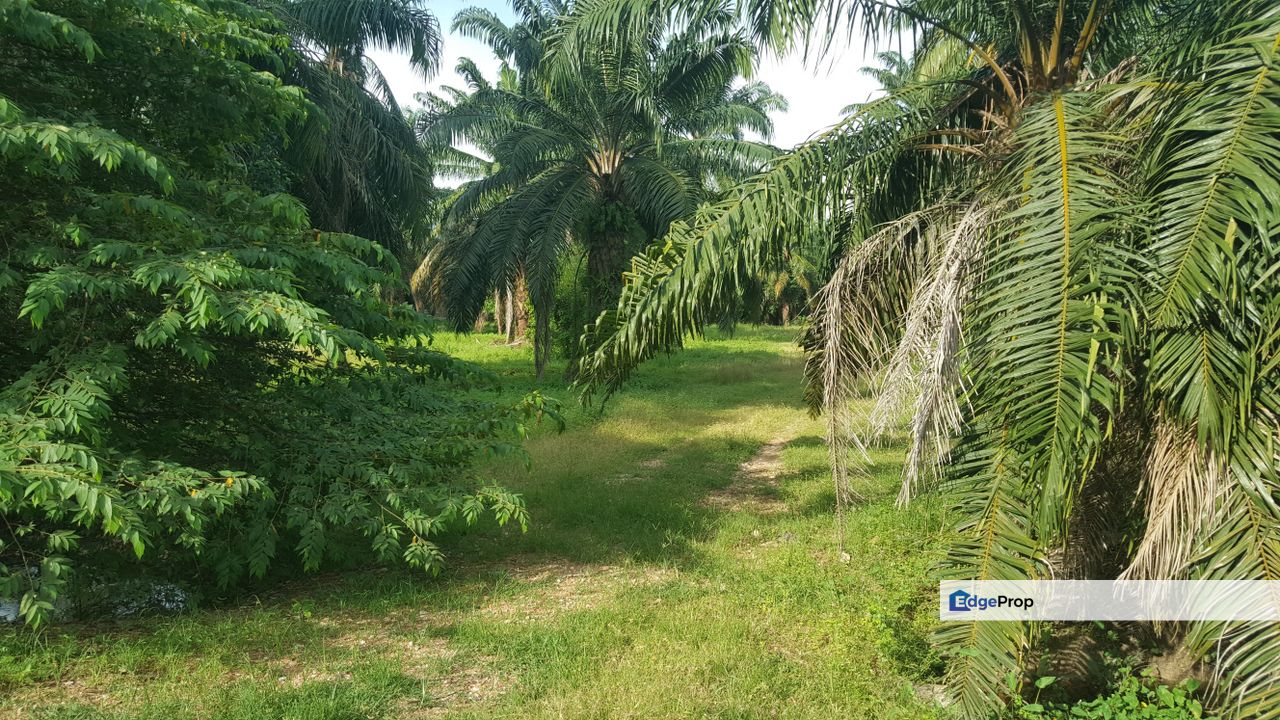 Agricultural Land located at Jeram, Kuala Selangor , Selangor, Jeram