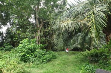 3 acres Industrial Zoning Land Batu 14, Jeram, Kuala Selangor