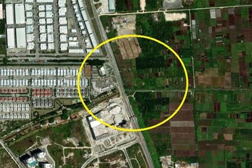 REVOLUSI HIJAU JOHAN SETIA