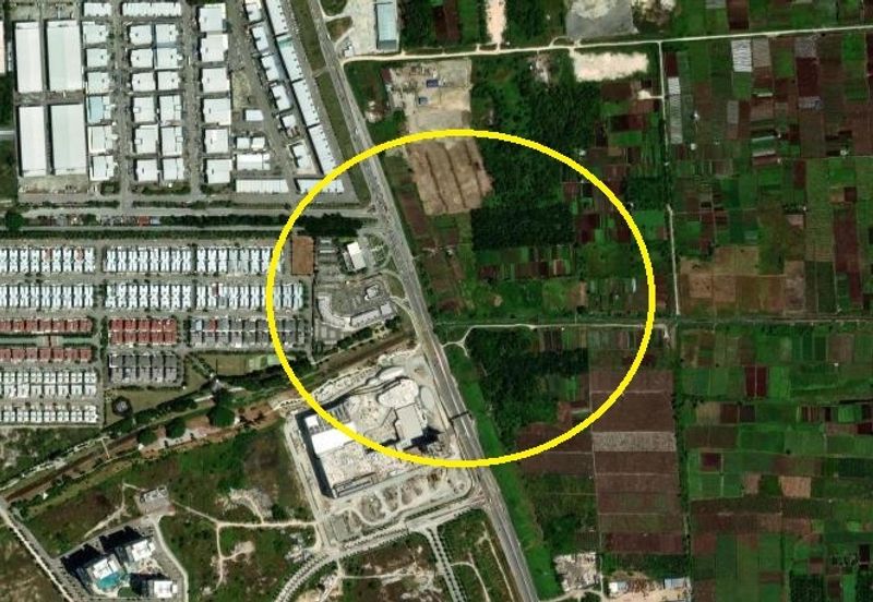 REVOLUSI HIJAU JOHAN SETIA