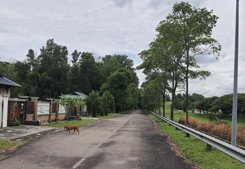 Bungalow Land at Putra Crest, Putra Heights, Subang Jaya for Sale
