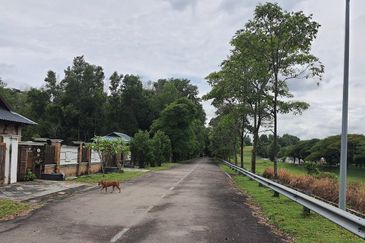 Bungalow Land at Putra Crest, Putra Heights, Subang Jaya for Sale