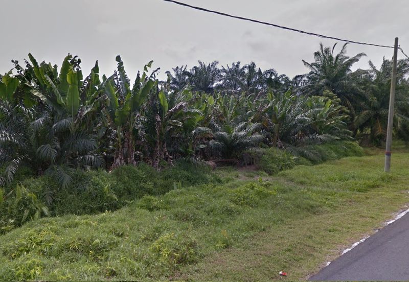 Agricultural Land, Mukim Batu, Tanjung Sepat, Kuala Langat for Sale