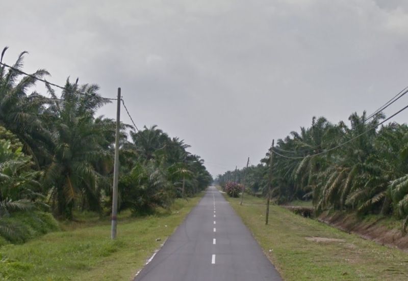 Agricultural Land, Mukim Batu, Tanjung Sepat, Kuala Langat for Sale