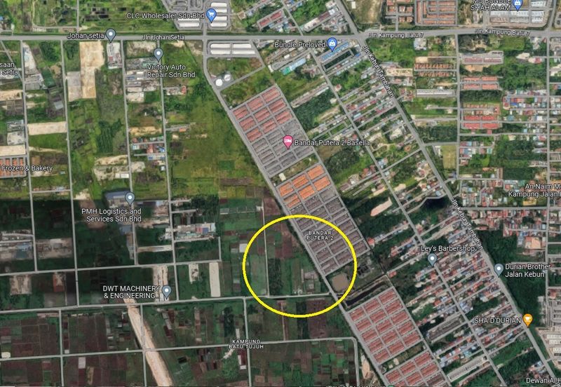 REVOLUSI HIJAU JOHAN SETIA