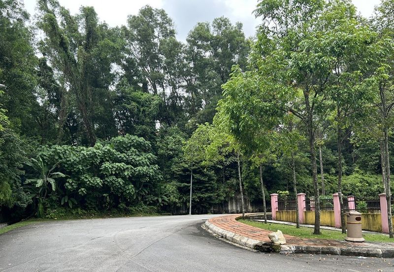 Tiara Hills, Taman Taynton View