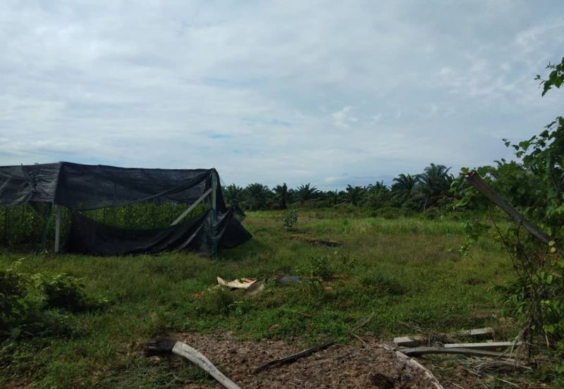 Residential Zoning Land at Morib, Kuala Langat for Sale