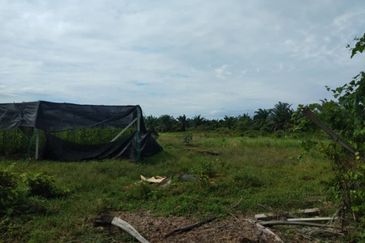 Residential Zoning Land at Morib, Kuala Langat for Sale