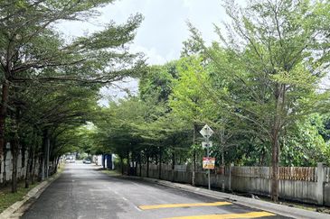 Tiara Hills, Taman Taynton View