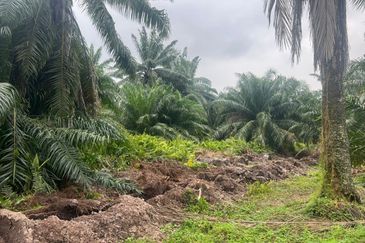 Sungai Kelambu 2, Tanjung Dua Belas,, Banting 