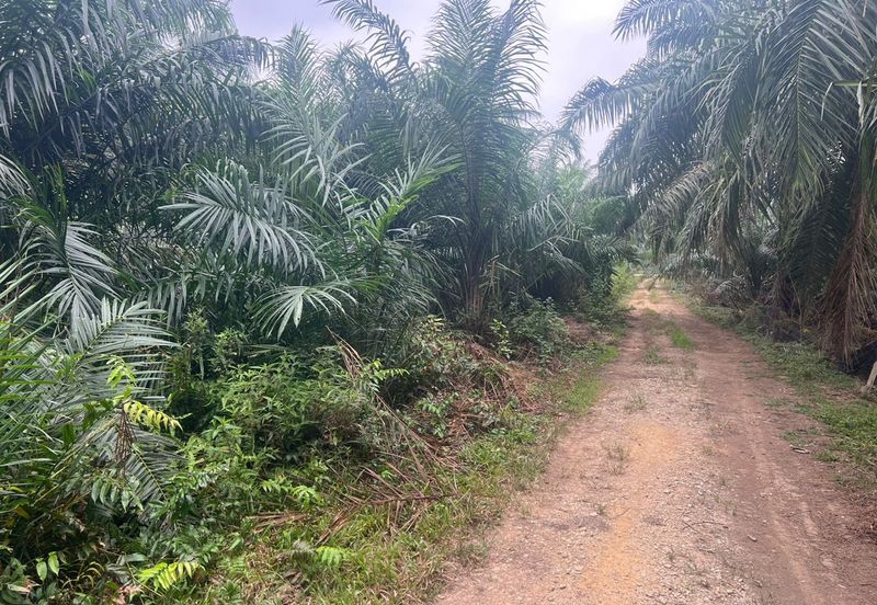 Sungai Kelambu 2, Tanjung Dua Belas,, Banting 