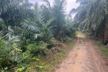 Sungai Kelambu 2, Tanjung Dua Belas,, Banting 