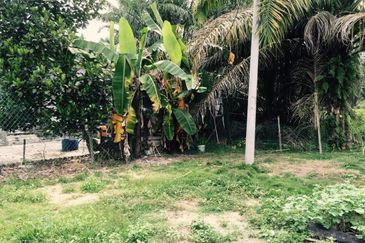 Rancangan Revolusi Hijau Bukit Cerakah, Bukit Ceraka Peringkat 1 - Ijok