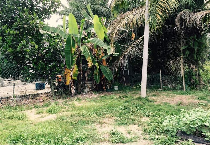 Rancangan Revolusi Hijau Bukit Cerakah, Bukit Ceraka Peringkat 1 - Ijok