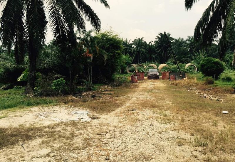 Rancangan Revolusi Hijau Bukit Cerakah, Bukit Ceraka Peringkat 1 - Ijok