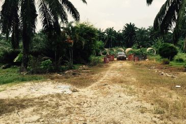 Rancangan Revolusi Hijau Bukit Cerakah, Bukit Ceraka Peringkat 1 - Ijok