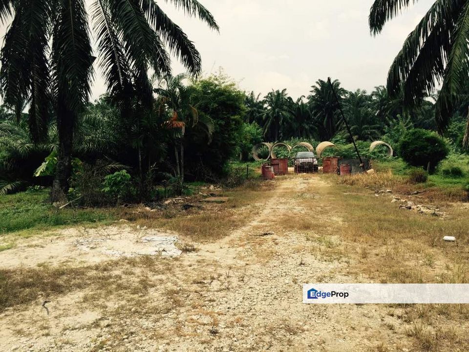 Rancangan Revolusi Hijau Bukit Cerakah, Bukit Ceraka Peringkat 1 - Ijok, Selangor, Sungai Buloh