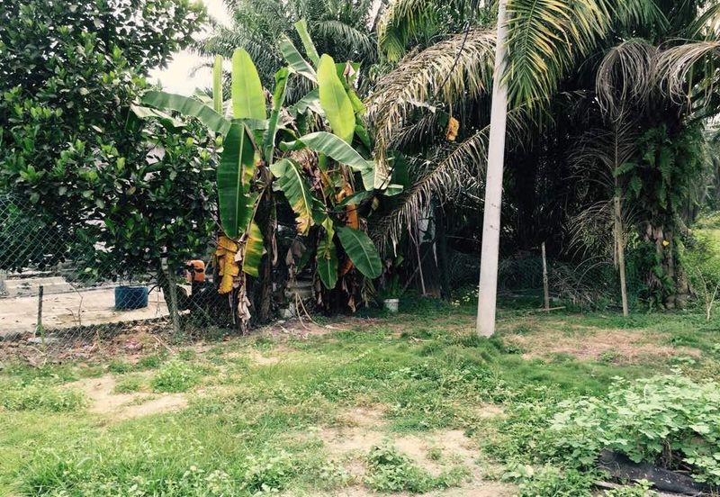 Rancangan Revolusi Hijau Bukit Cerakah, Bukit Ceraka Peringkat 1 - Ijok