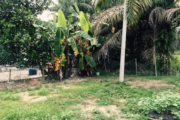 Rancangan Revolusi Hijau Bukit Cerakah, Bukit Ceraka Peringkat 1 - Ijok