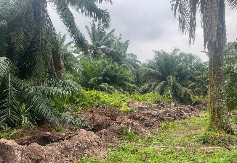 Sungai Kelambu, Tanjung Dua Belas,, Banting 