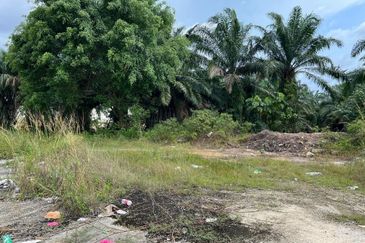 Industrial Zoning Land @ Olak Lempik Tanjung Dua Belas, Banting, Kuala Langat for Sale