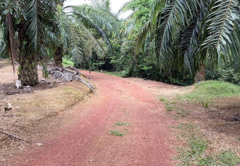 Industrial Land, Jalan Dengkil-Banting, Sepang,