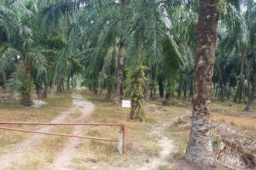 10 acres Industrial Zoning Land, Telok Mengkuang