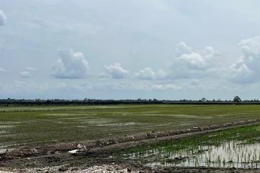 Agriculture Land, Jalan Parit 4 Pantai Sungai Burung, Kampung Sungai Burung Sekinchan Tanjung Karang 