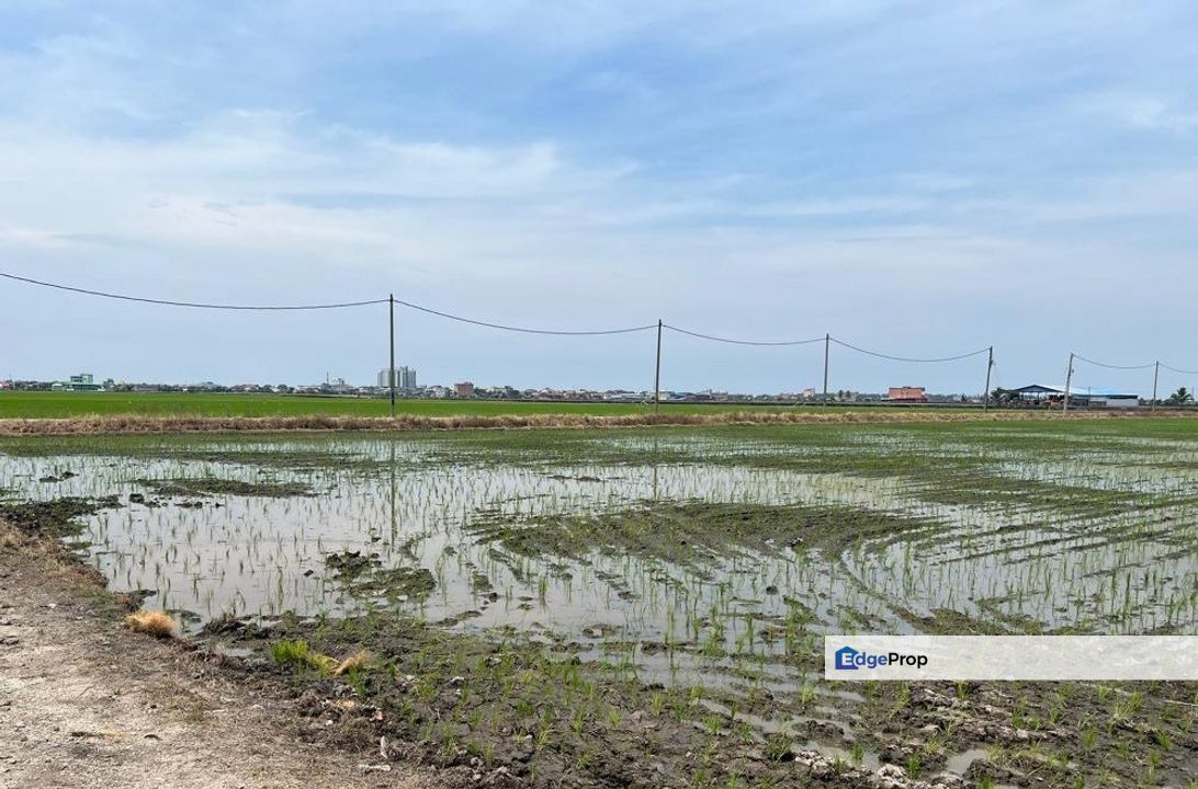 Agriculture Land, Jalan Parit 4 Pantai Sungai Burung, Kampung Sungai Burung Sekinchan Tanjung Karang , Selangor, Sekinchan