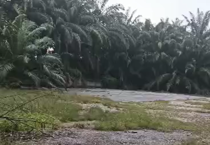 Kampung Sri Cheeding