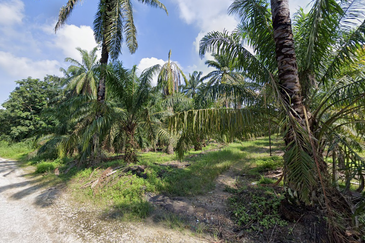 PEKAN SIMPANG TIGA IJOK