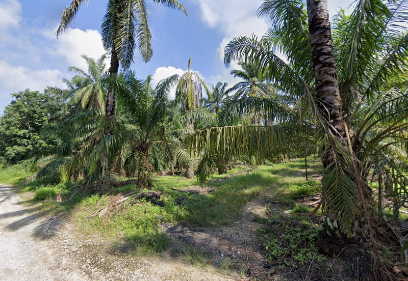 PEKAN SIMPANG TIGA IJOK
