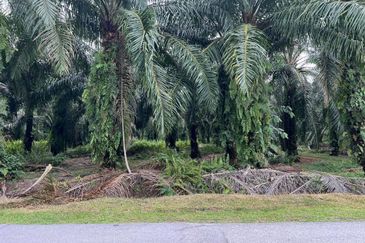 Industrial Zoning Land, Olak Lempit Tanjung Dua Belas, Bukit Changgang Banting, Kuala Langat for Sale