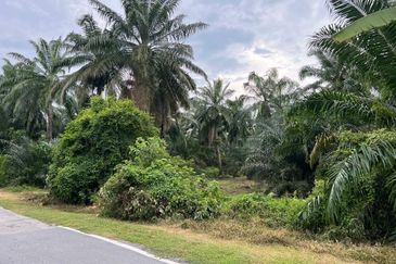 Industrial Zoning Land, Olak Lempit Tanjung Dua Belas, Bukit Changgang Banting, Kuala Langat for Sale