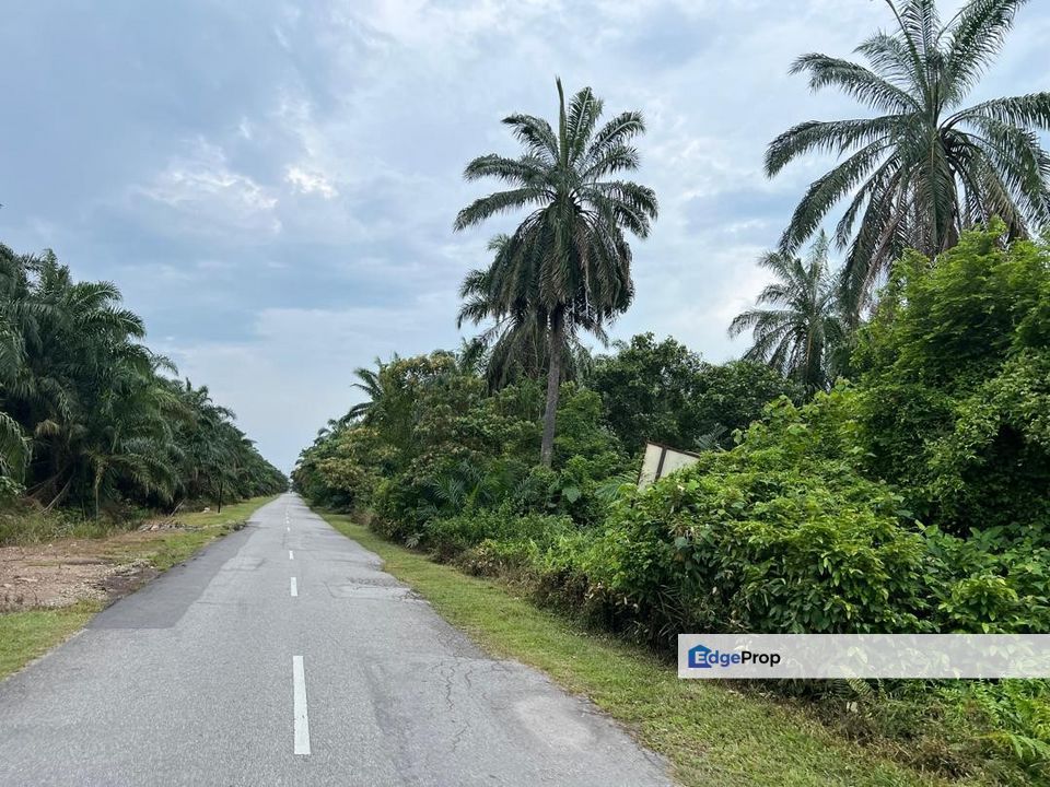 Industrial Zoning Land, Olak Lempit Tanjung Dua Belas, Bukit Changgang Banting, Kuala Langat for Sale, Selangor, Banting